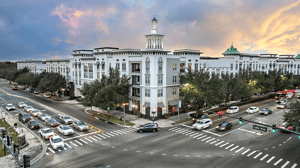 Village at Lake Lily